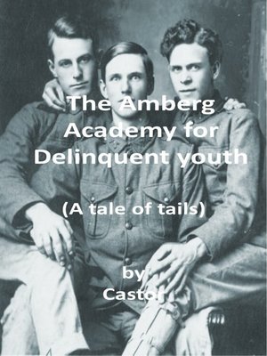 cover image of The Amberg Academy for delinquent youth